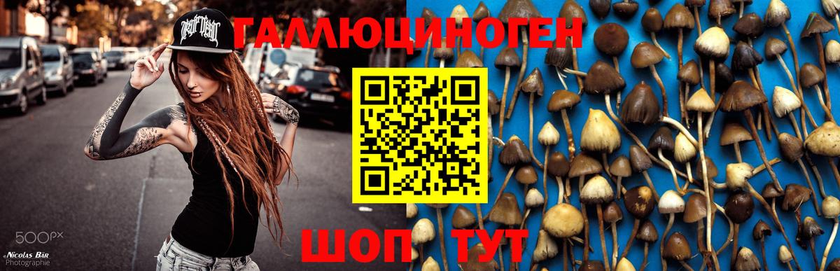 Псилоцибиновые грибы Psilocybine cubensis Нефтеюганск